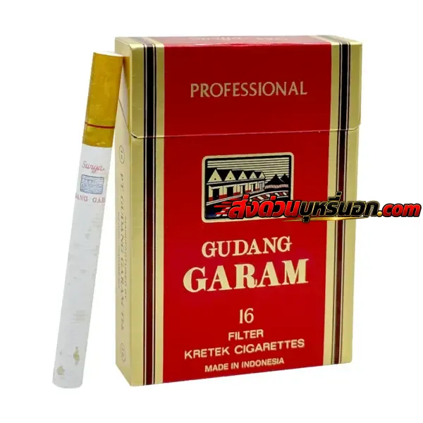 บุหรี่นอก Garam กาแรม Professional 16 (หวานร้อน) ส่งด่วน